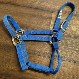 Horse Tack - Blue Hamilton Nylon Halter